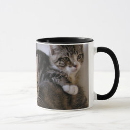 Tasse Laurie, Larry et Louie