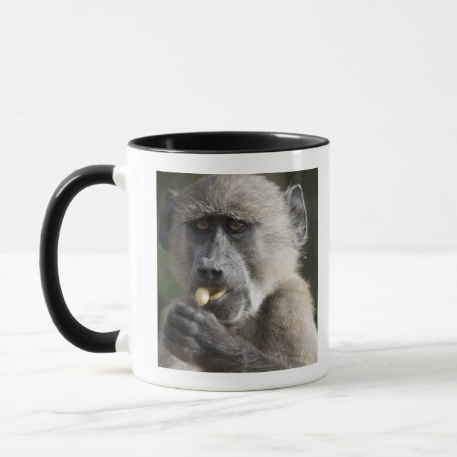 Tasse Le babouin de Chacma juvénile (ursinus de Papio) (Gauche)