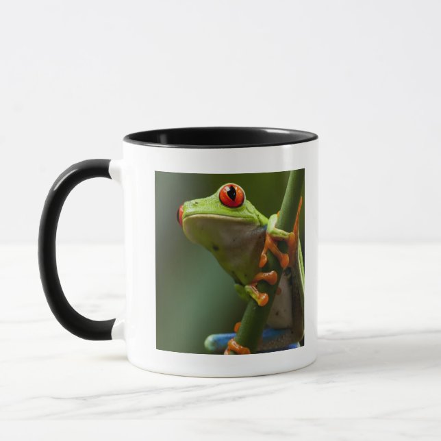 Tasse Le Costa Rica, Monteverde, grenouille d'arbre aux (Gauche)