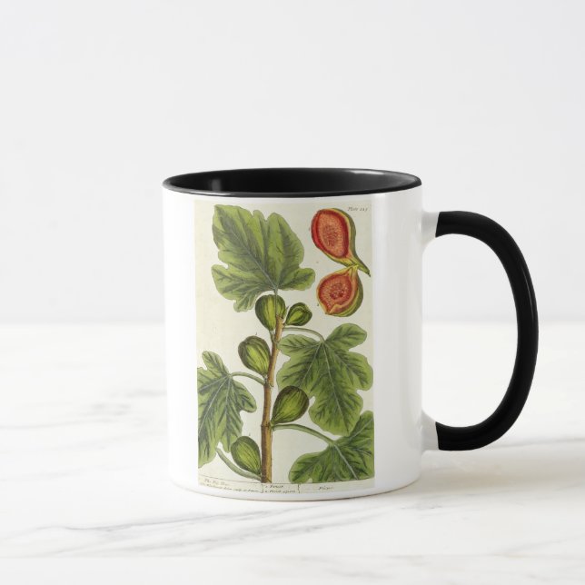 Tasse Le figuier, plaquent 125 "d'un de fines herbes (Droite)