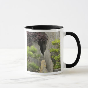 Tasse Le jardin de la famille Bao, Huangshan, Chine. 2