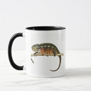 Tasse Le Madagascar 2