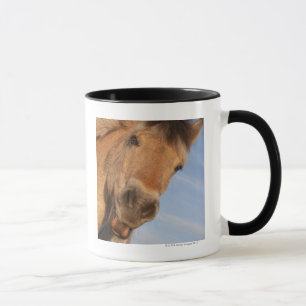 Tasse Le Northumberland, Angleterre 2