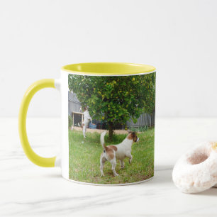 Tasse Le Renard Terrier Qui S'Échappe Dans Un Arbre,