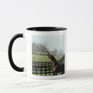 Tasse Le Vermont, Etats-Unis 2
