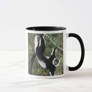 Tasse Lémur varié noir et blanc, (Varecia