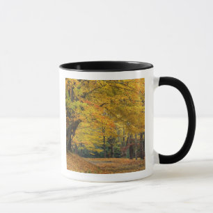Tasse L'érable d'automne surplombant la voie de campagn