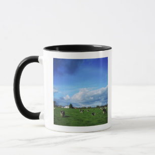 Tasse Les bétail de frison du Holstein s'approchent de