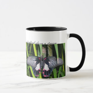 Tasse les papillons, deux papillons sont allés OU…