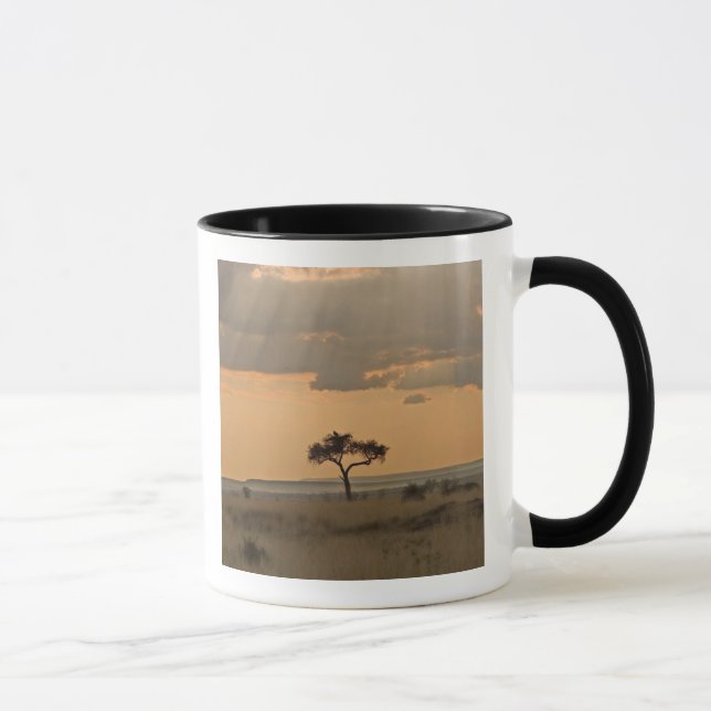 Tasse Les rayons du soleil laser à travers l'après-midi (Droite)