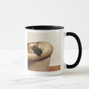 Tasse Lévrier afghan se trouvant sur le sofa