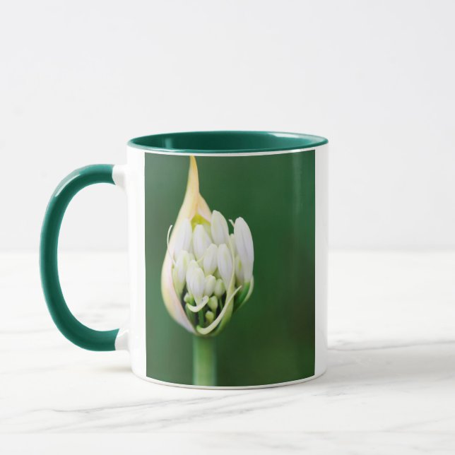 Tasse Lily africaine, Praecox d'Agapanthus, Cap (Gauche)