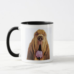 Tasse Limier (chien de St Hubert) avec les yeux fermés,