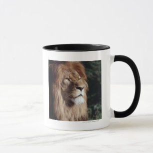 Tasse lion