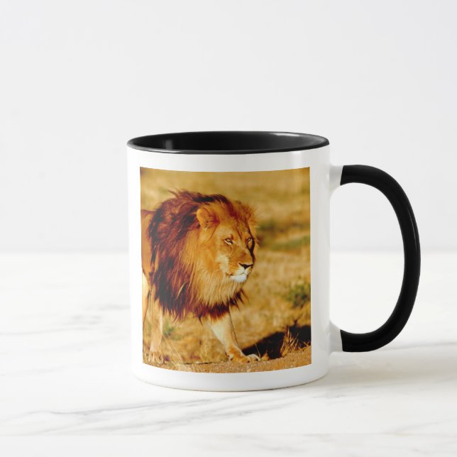 Tasse Lion solitaire (Droite)