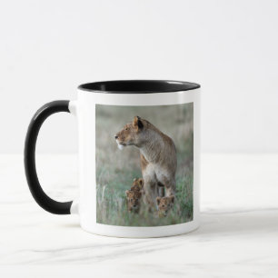 Tasse Lionne (Panthera Lion) et petits animaux, masais