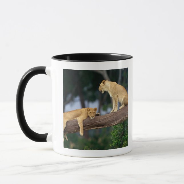 Tasse Lionnes dans un arbre (Gauche)