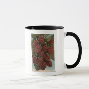 Tasse Lithographie de Chromo de fruit de