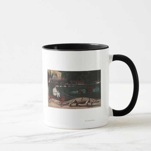 Tasse Los Angeles, CAAlligator FarmPulling Girl (Droite)