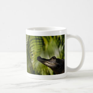 Tasse louche d'alligator