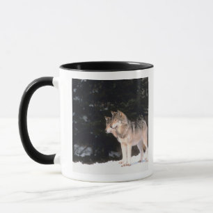 Tasse Loups gris