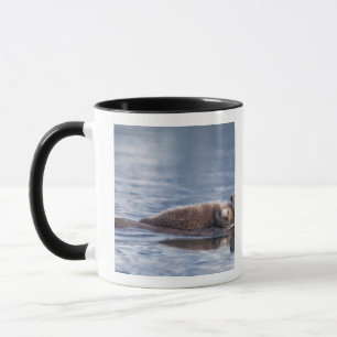 Tasse loutre de mer, Enhydra lutris lutris