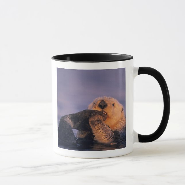 Tasse Loutres de mer, Enhydra lutris (Droite)