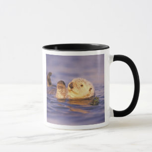 Tasse Loutres de mer, Enhydra lutris