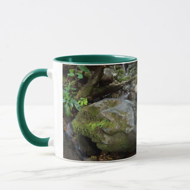 Tasse Lower Dark Hollow Falls, Shenandoah (Gauche)