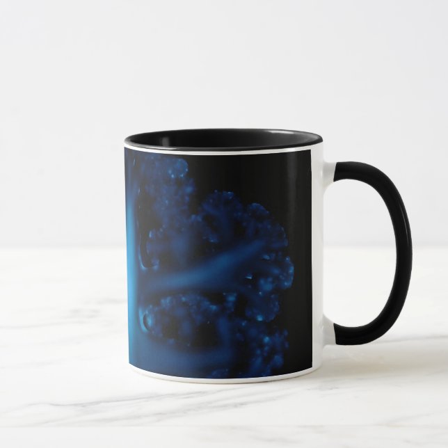 Tasse Luminol et la structure de chou-fleur (Droite)