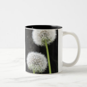 Tasse - Lüster