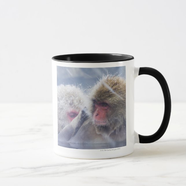 Tasse Macaques japonais (fuscata de Macaca) se (Droite)