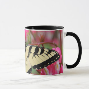 Tasse Machaon oriental