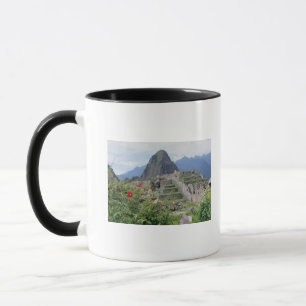 Tasse Machu Picchu, Pérou