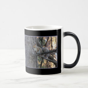 Tasse Magique Métamorphosante Écureuil dans l'Arbr