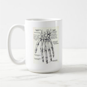 TASSE : Main/anatomie squelettiques