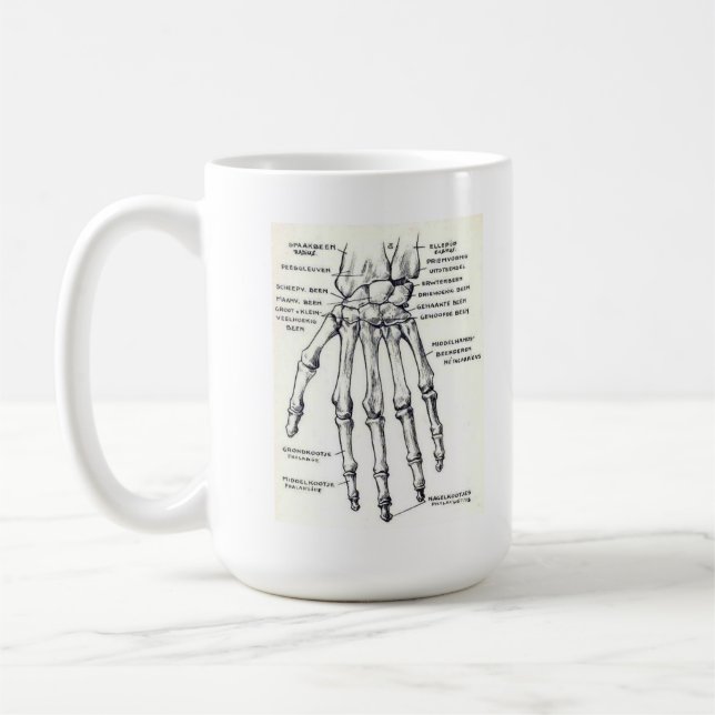 TASSE : Main/anatomie squelettiques (Gauche)