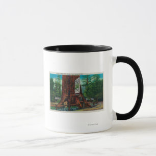 Tasse Maison Arbre Célèbre Mondiale, Lilley Redwood Park