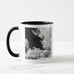 Tasse Maison des Keys de Floride et ses palmiers, États-