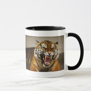 Tasse malaise du tigre #2