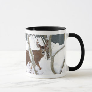 Tasse Mâle de cerfs communs dans la neige en hiver