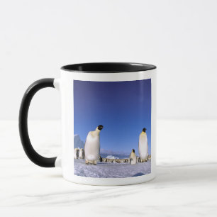 Tasse Manchot   Antarctique, péninsule Antarctique