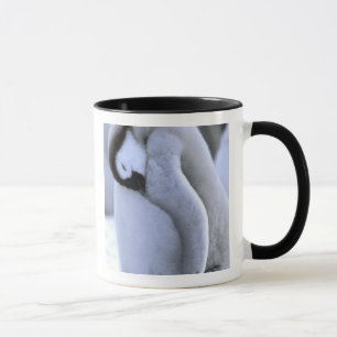 Tasse Manchot Péninsule antarctique, mer de Weddell