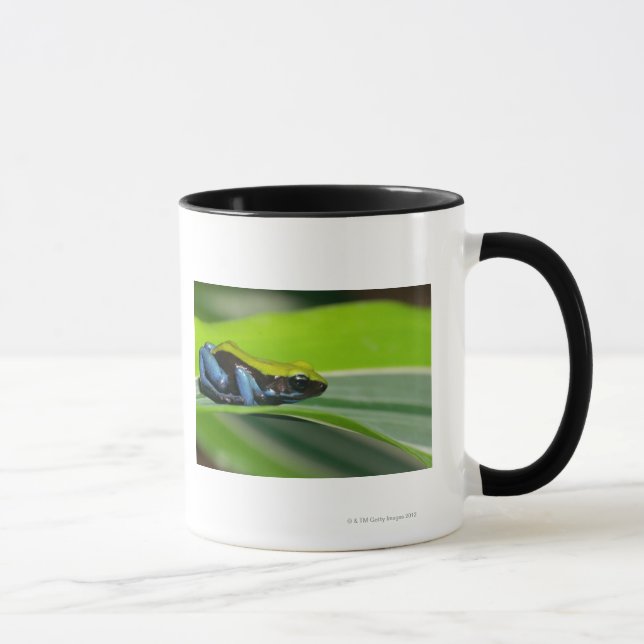 Tasse mantella Vert-soutenu (Droite)