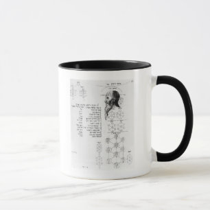 Tasse Manuscrit juif illustrant la phrénologie