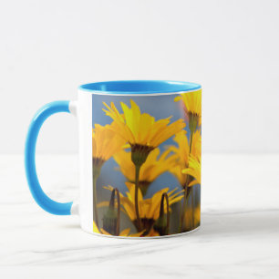 Tasse Marguerites orange et jaune de Namaqualand