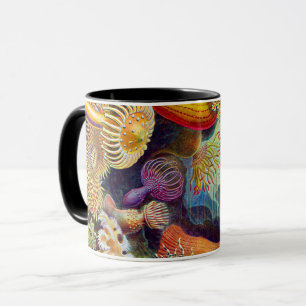 Tasse Marine d'actinies d'Ernst Haeckel : Actiniae