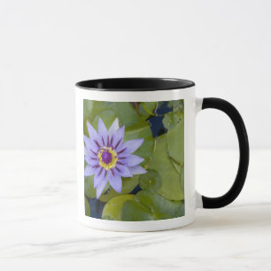 Tasse Martinique, Antilles françaises, Indes occidentale