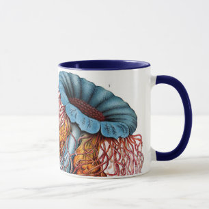 Tasse Méduse vintage par Ernst Haeckel, Discomedusae