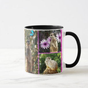 Tasse Meerkat Collage,